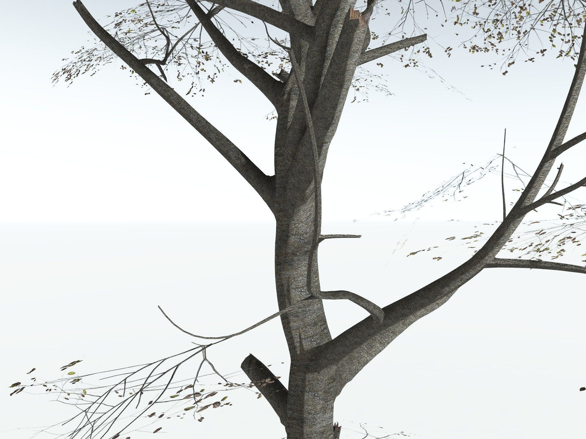 EVERYPlant Red Mangrove 3D model_19