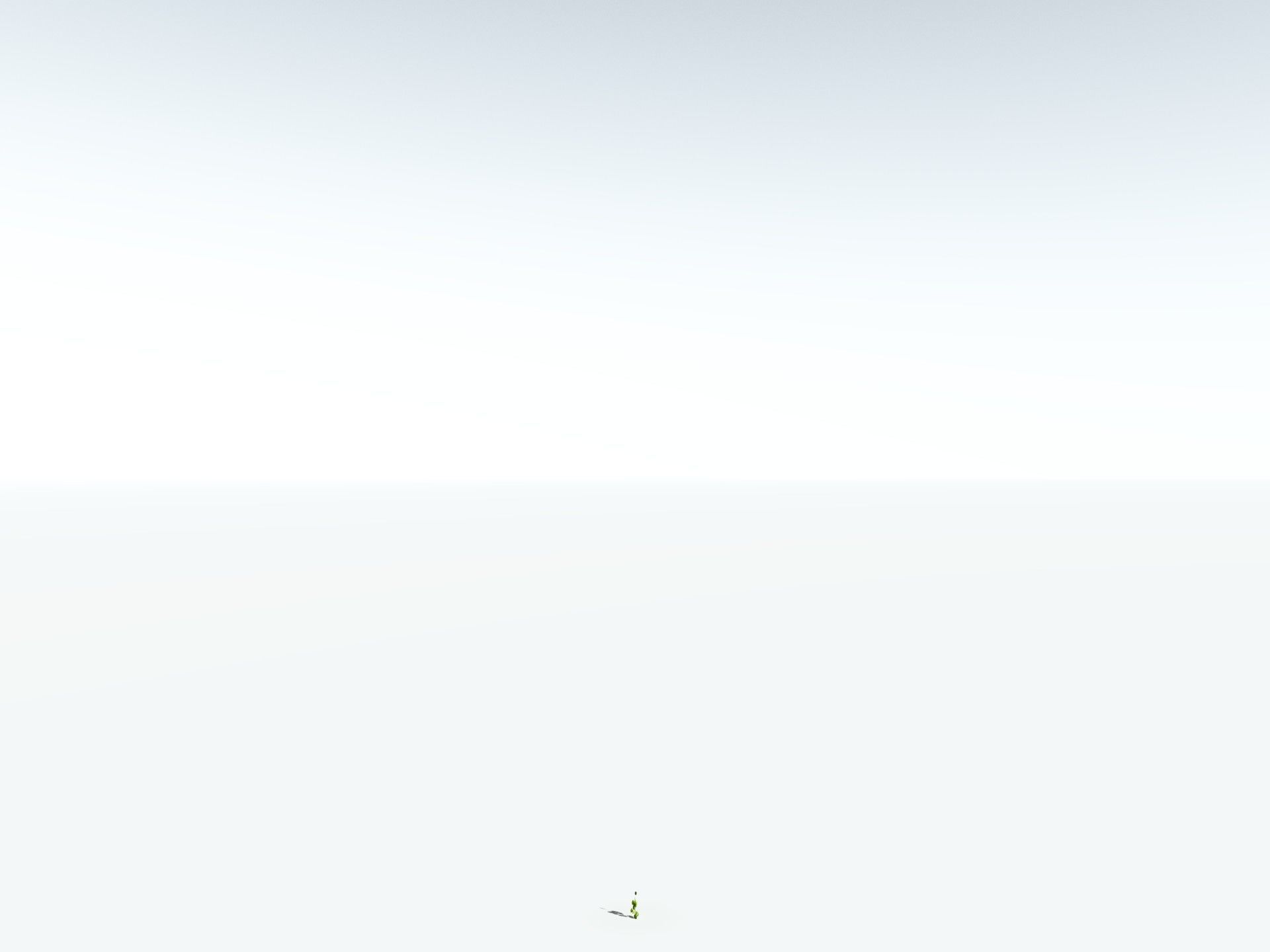 EVERYPlant Red Mangrove 3D model_30