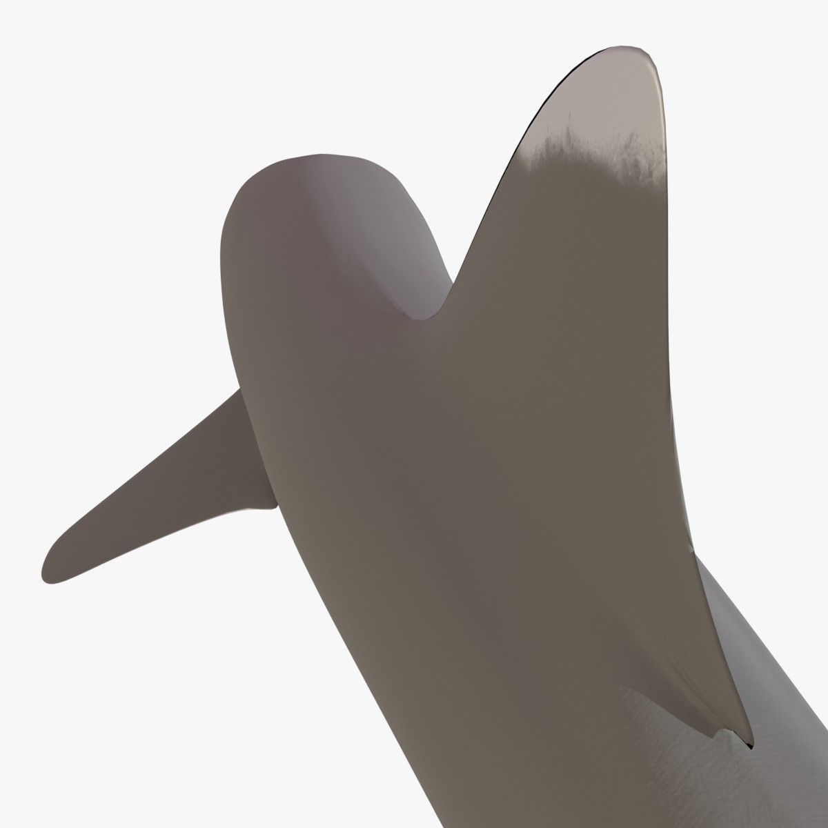 Whitetip Reef Shark Low-poly 3D model_15