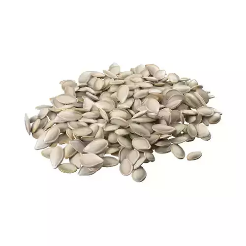 Pumpkin seed pile  