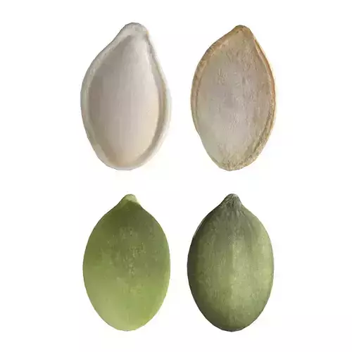 Pumpkin seeds set 
