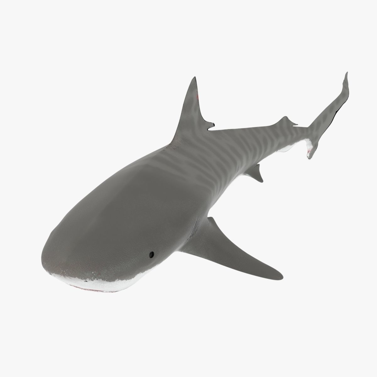 Sharks collection shark Low-poly 3D model_7