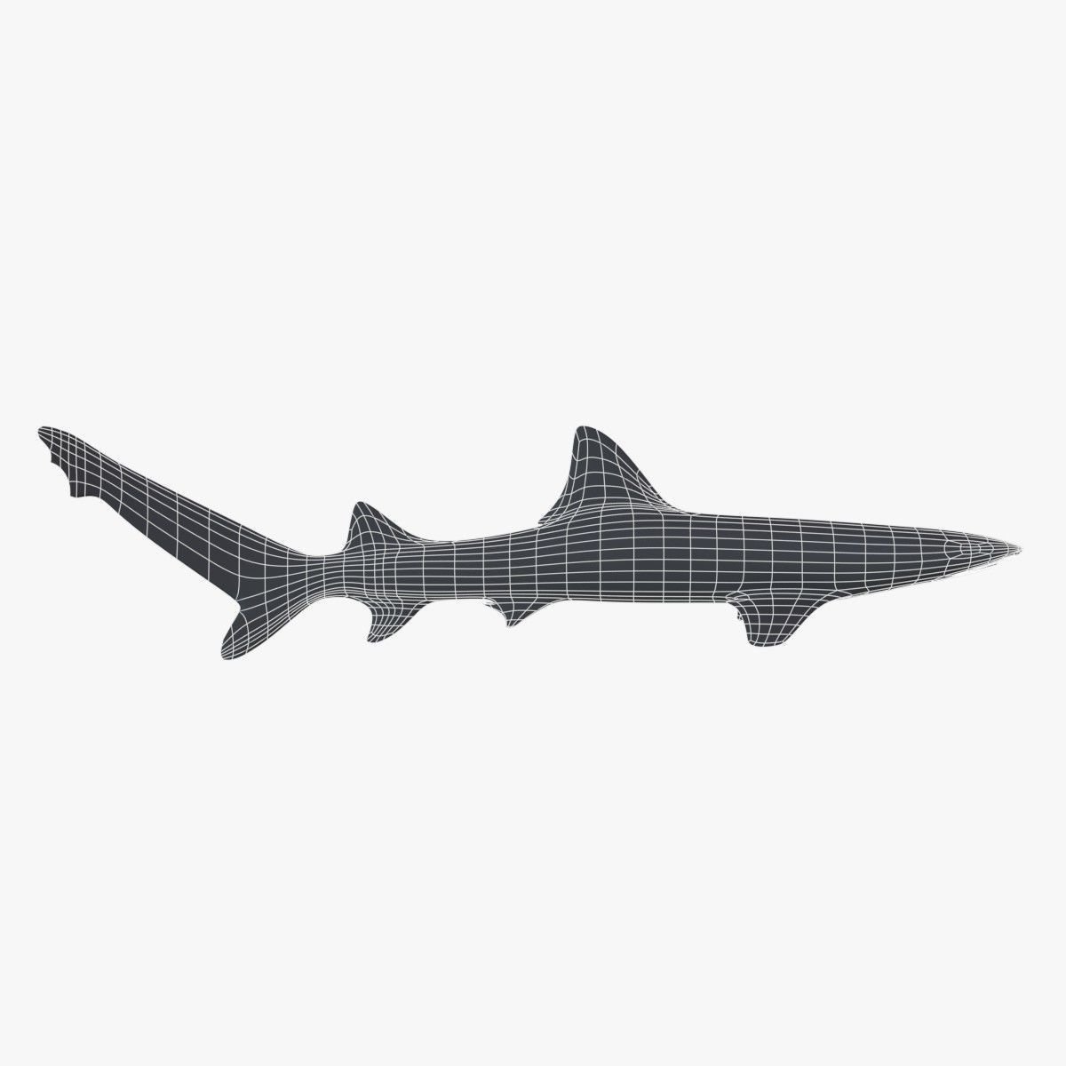 Sharks collection shark Low-poly 3D model_22