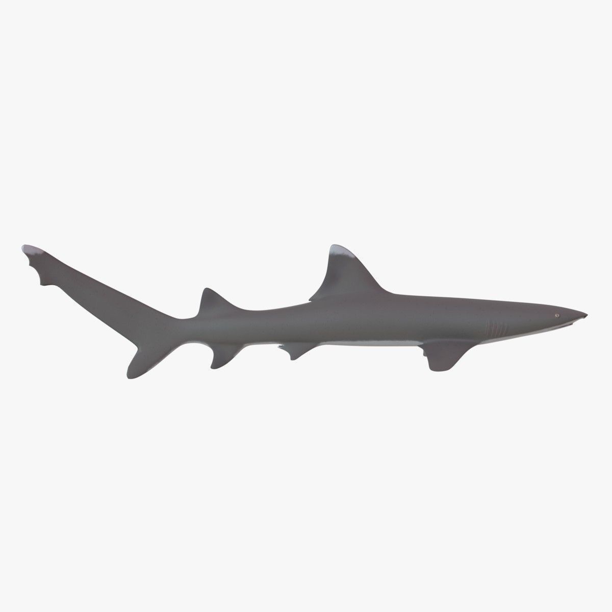 Sharks collection shark Low-poly 3D model_21