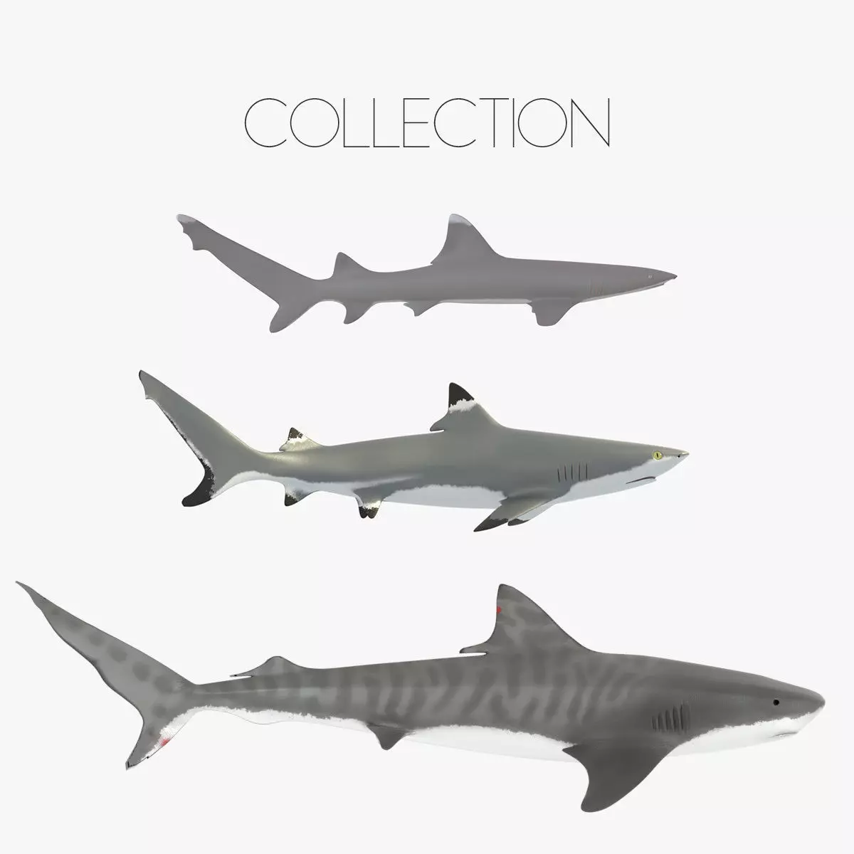 Sharks collection shark Low-poly 3D model_0