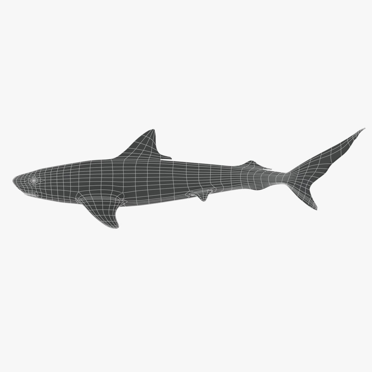 Sharks collection shark Low-poly 3D model_10