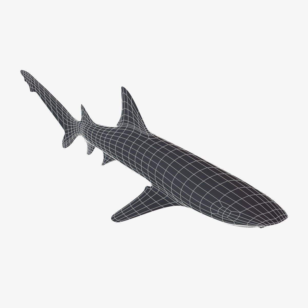 Sharks collection shark Low-poly 3D model_18