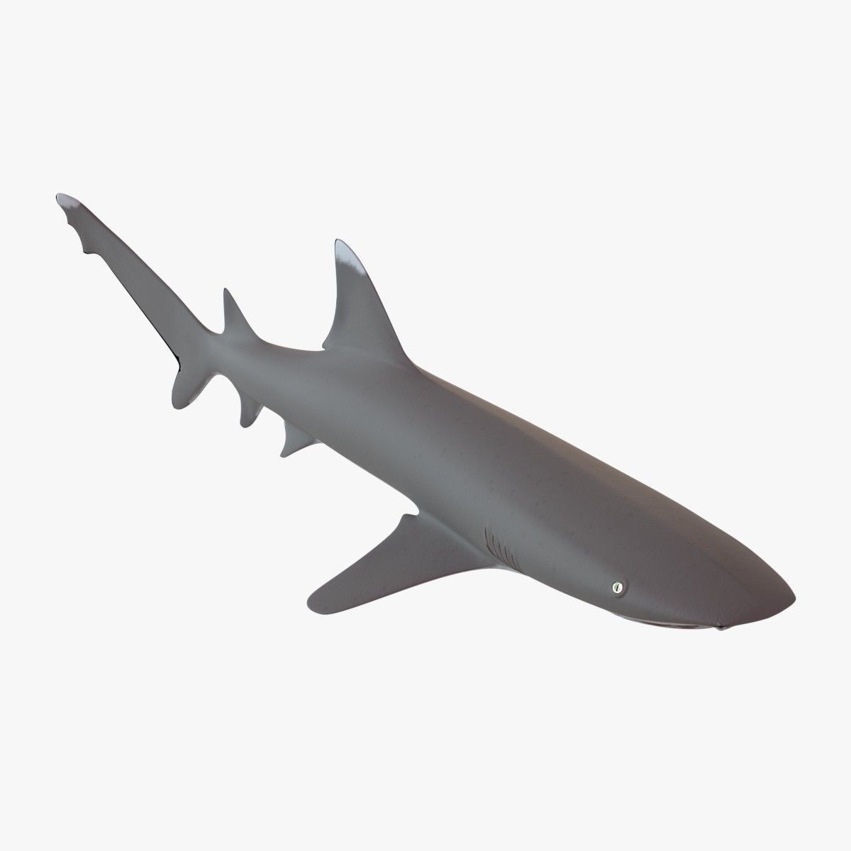 Sharks collection shark Low-poly 3D model_17