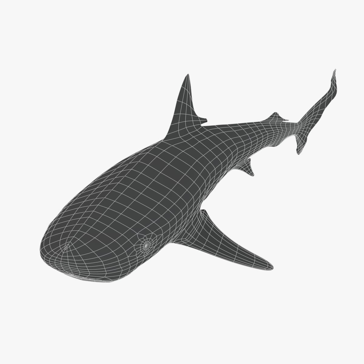 Sharks collection shark Low-poly 3D model_8