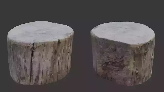 Wooden Stump Scan Low-poly 3D model