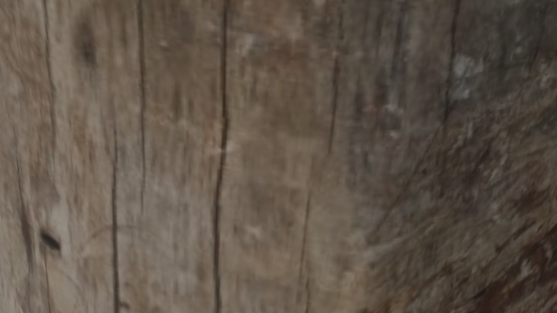 Wooden Stump Scan Low-poly 3D model_7