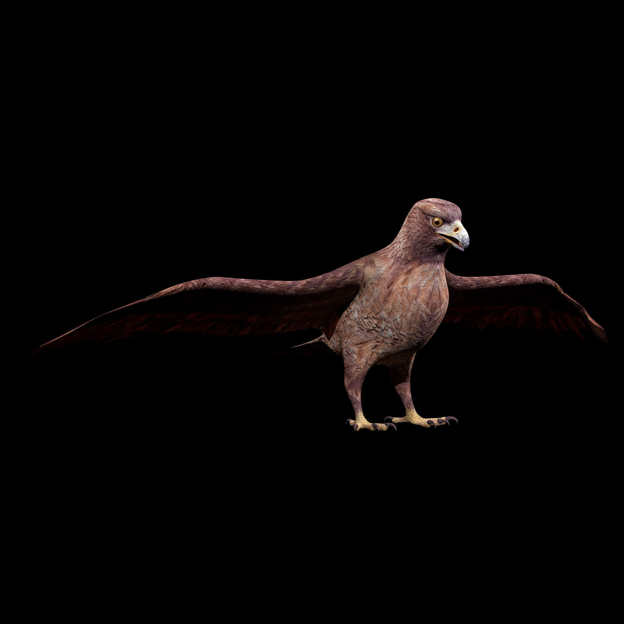 Eagle Rig Low-poly 3D model_1