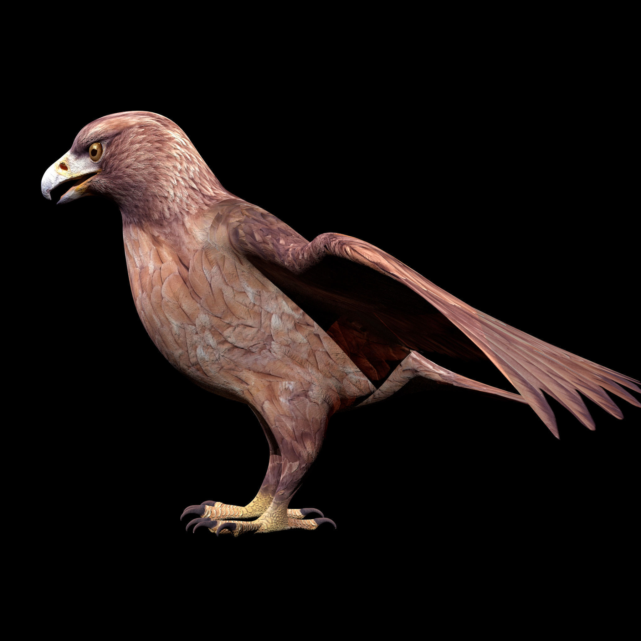 Eagle Rig Low-poly 3D model_4