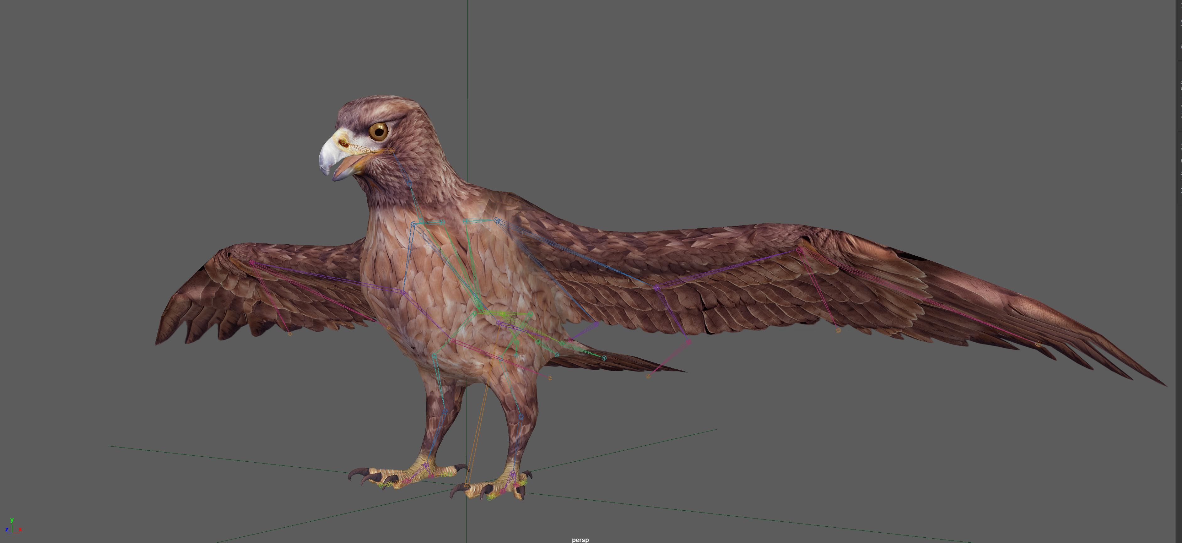 Eagle Rig Low-poly 3D model_7