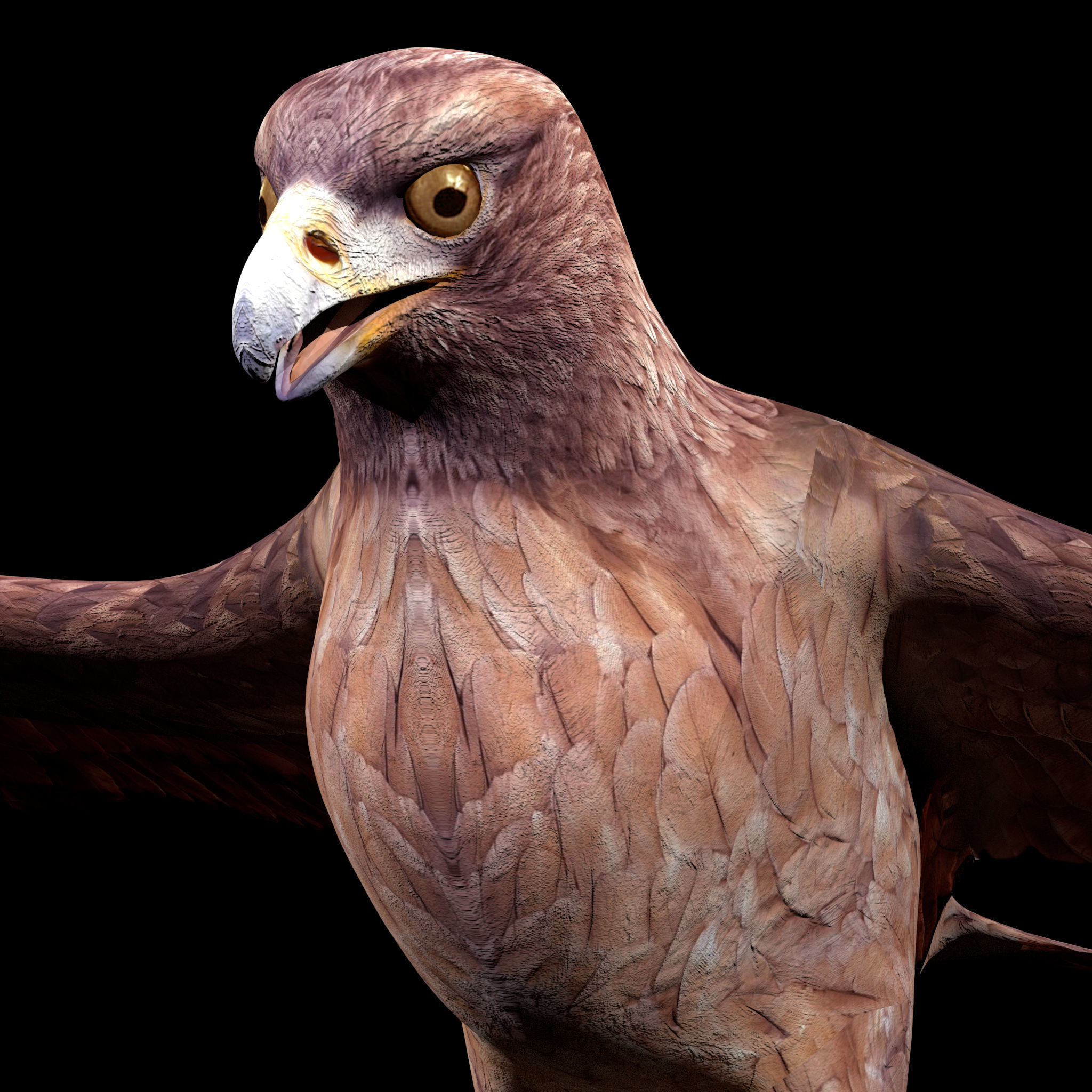 Eagle Rig Low-poly 3D model_3