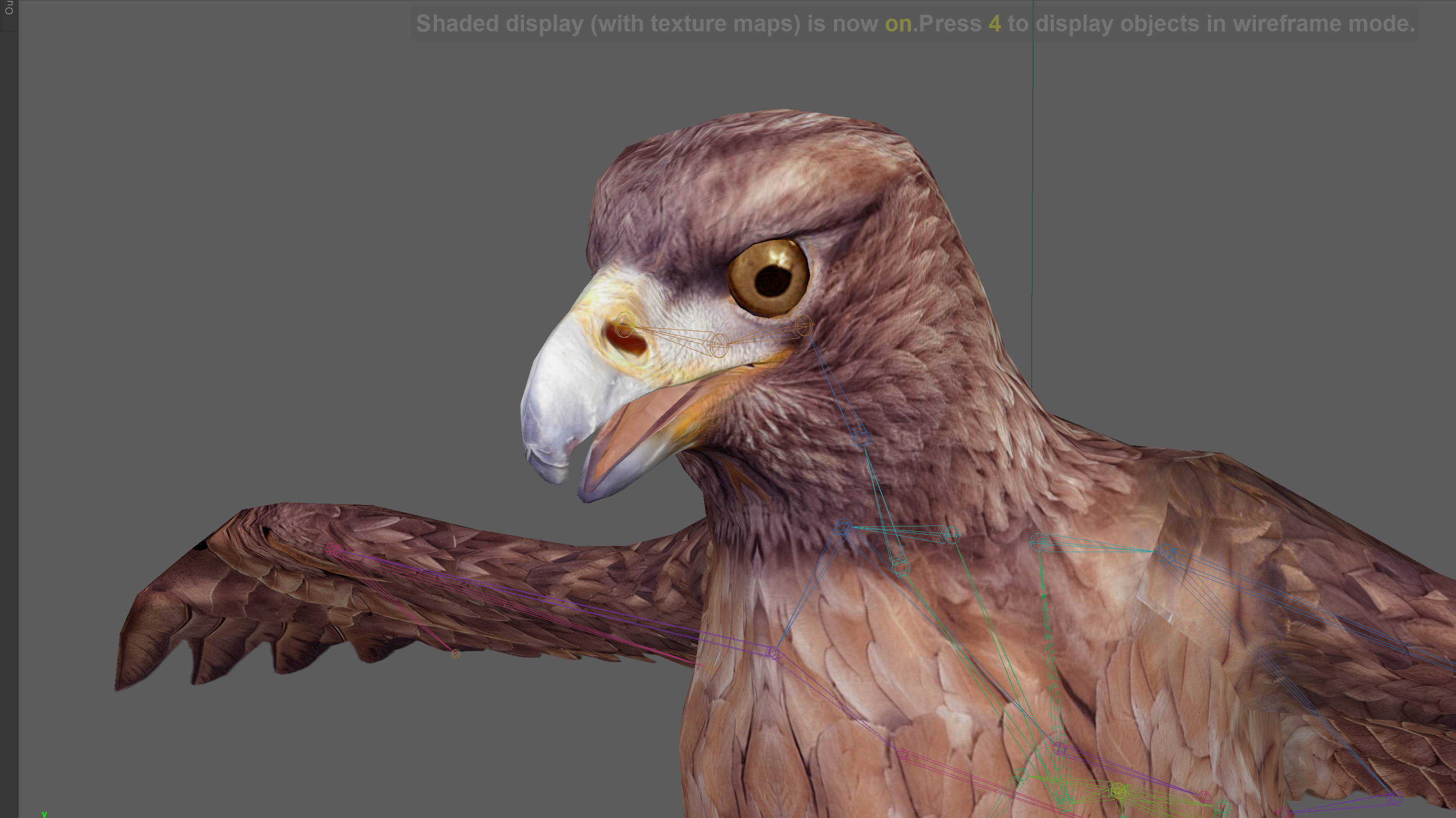 Eagle Rig Low-poly 3D model_9