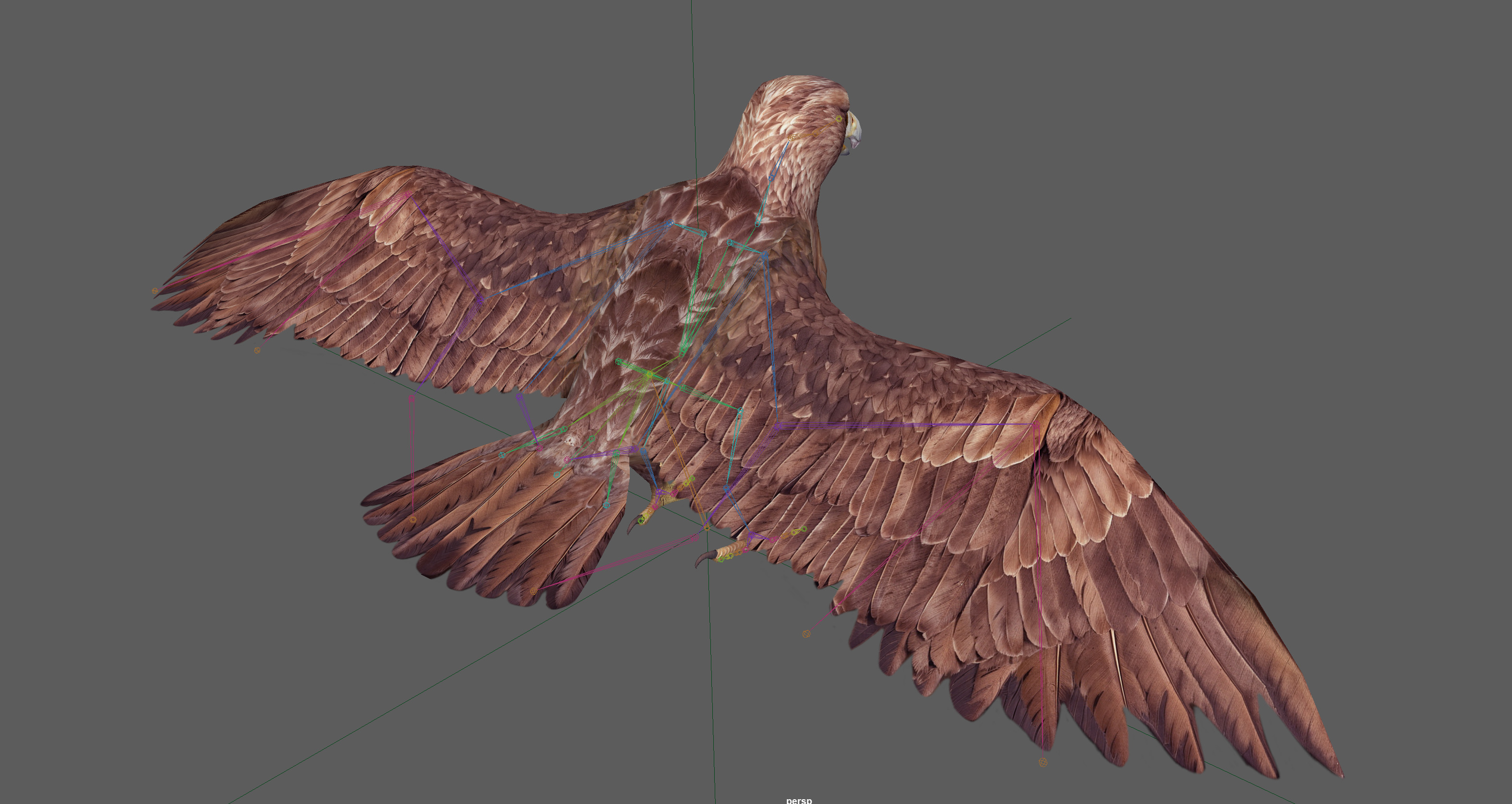 Eagle Rig Low-poly 3D model_12