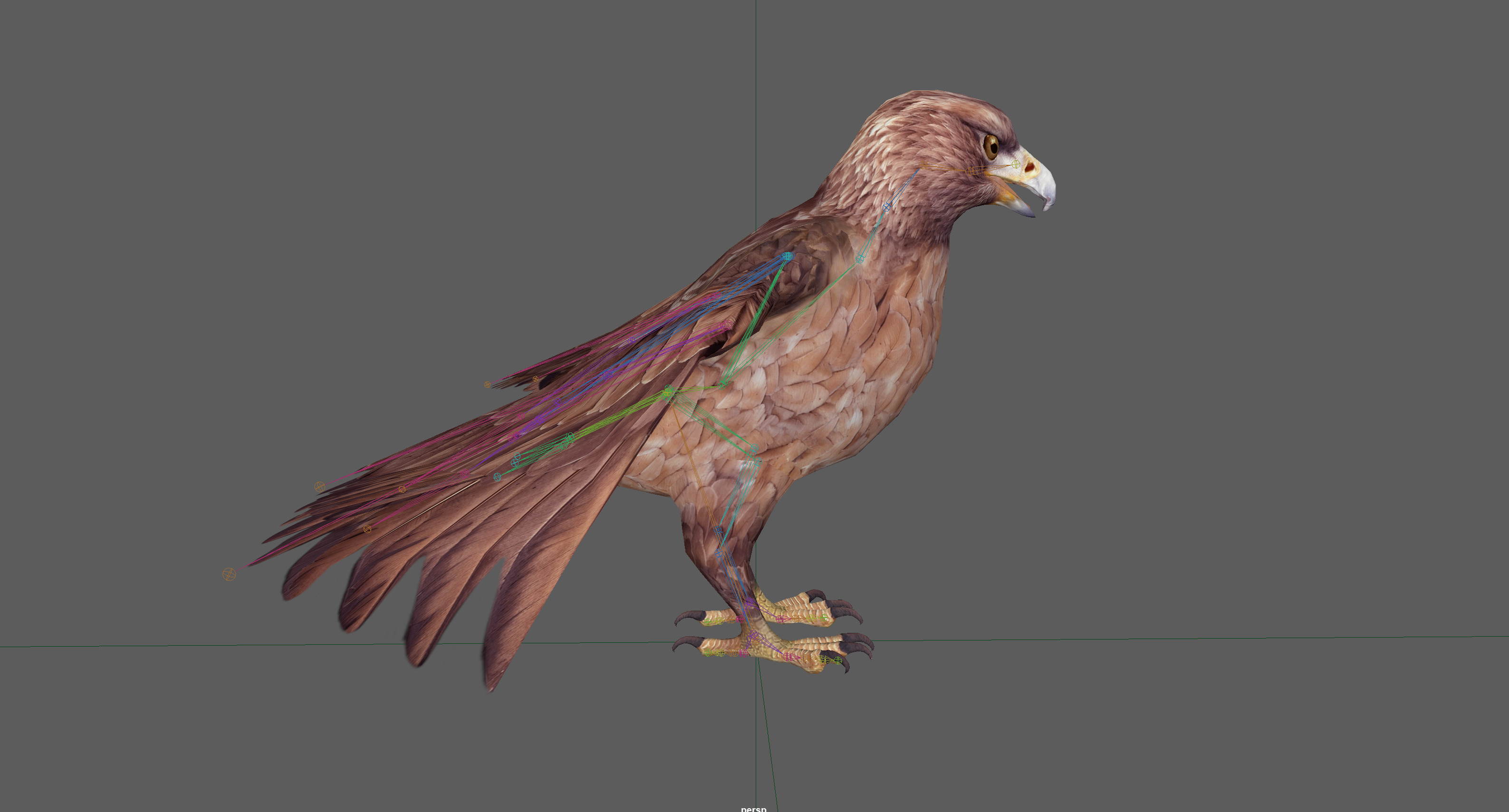 Eagle Rig Low-poly 3D model_11