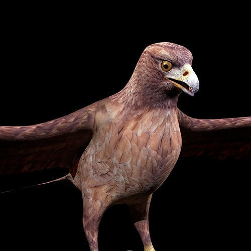 Eagle Rig Low-poly 3D model