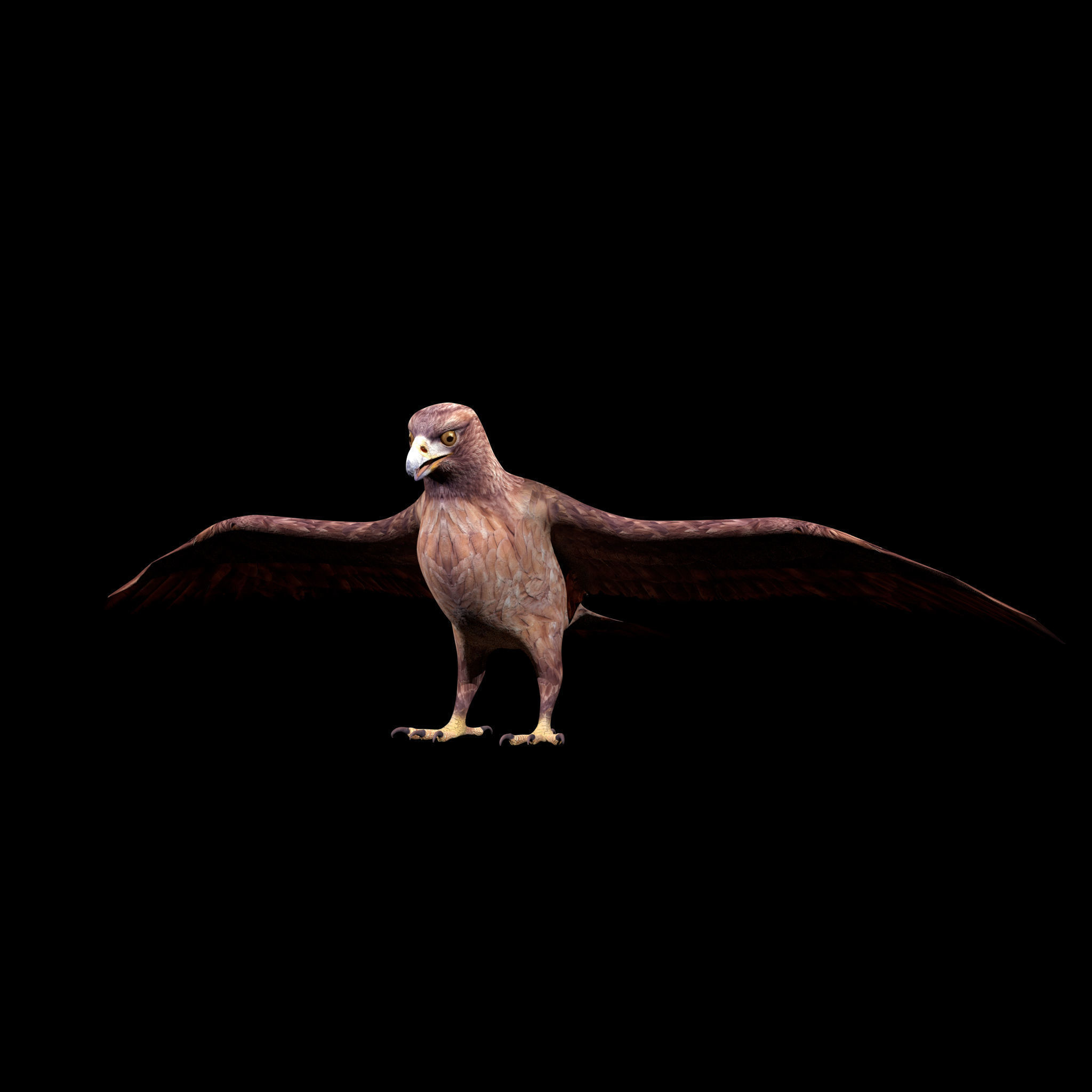 Eagle Rig Low-poly 3D model_2