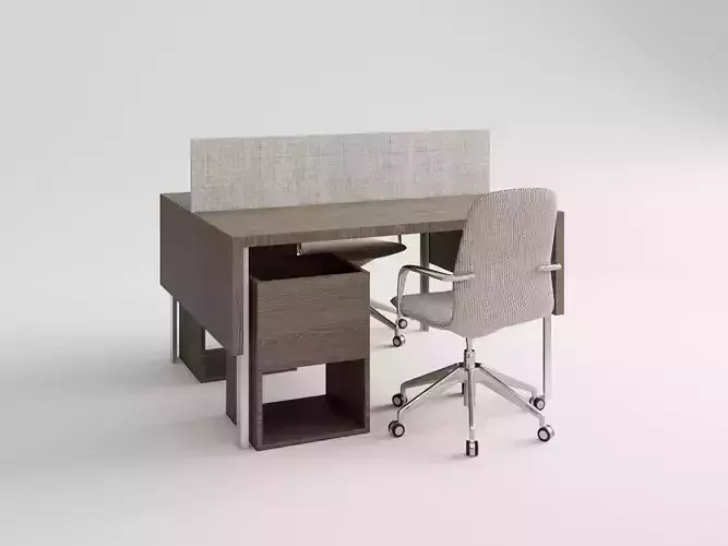 Modern Minimalist Double Office Desk and Chair Set