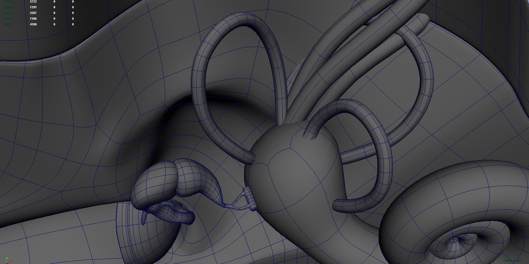 human ear anatomy 3D model_16