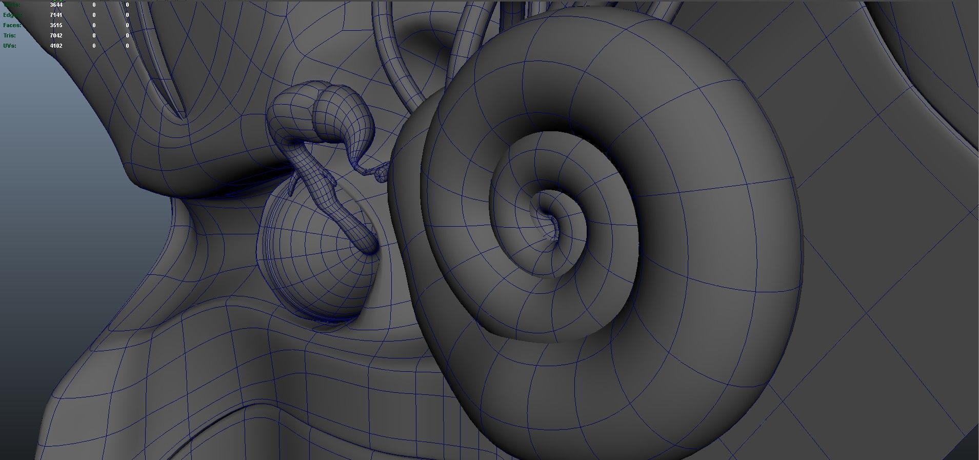 human ear anatomy 3D model_14