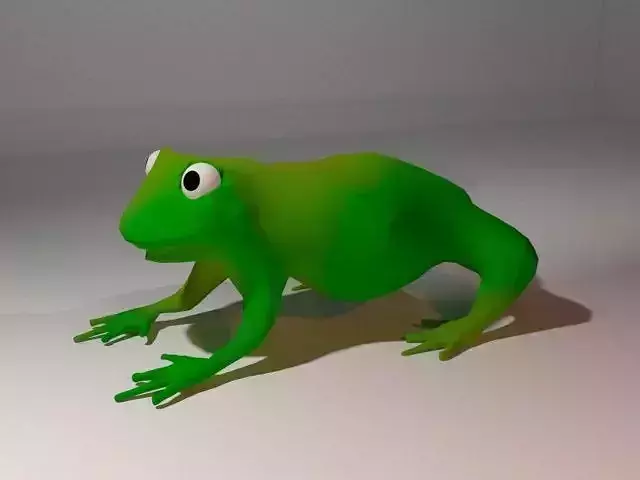 The Frog