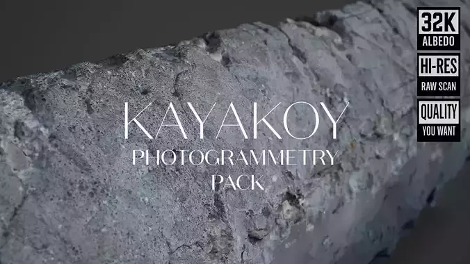 Abandoned House Ruined Part Scan - Fence Top 02