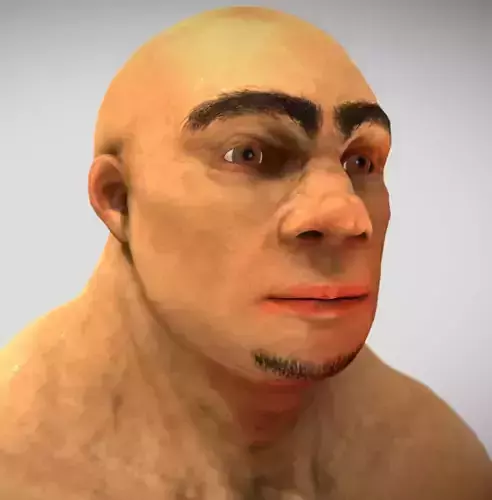 Neanderthal  The Pattern Mind Low-poly 3D model