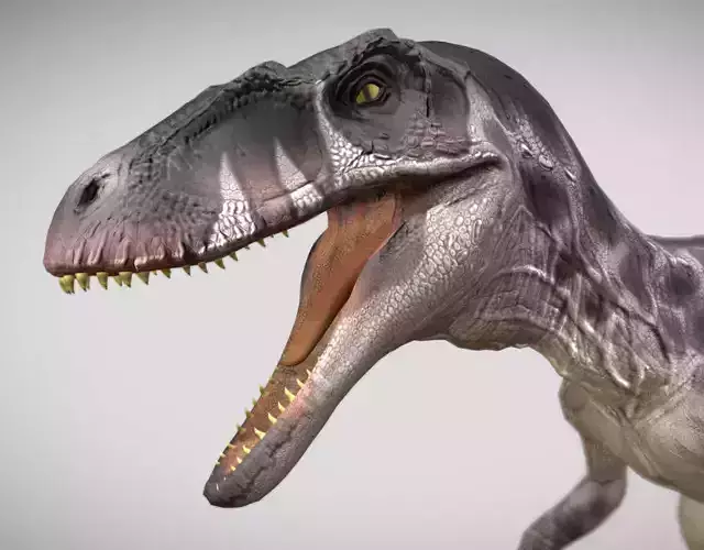 Raptor Low-poly 3D model