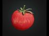 Red Tomato 3Model  Low-poly 3D model_1