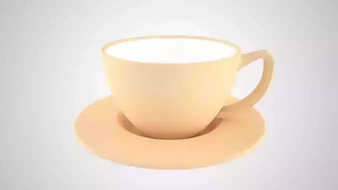 Coffee Cup Saucer Navajo White Color