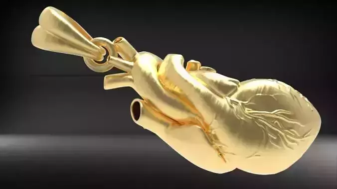  Anatomical Heart Pendant Necklace Jewelry