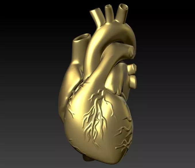 Anatomical Heart Pendant Necklace Jewelry 3D print model