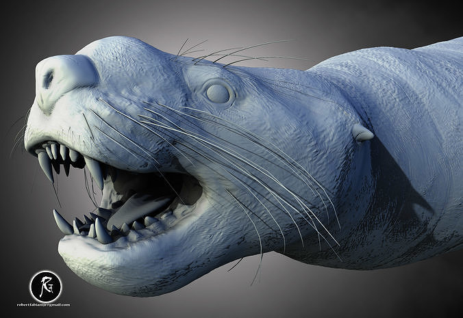 Allodesmus Miocene Sea Gladiator 3D print model
