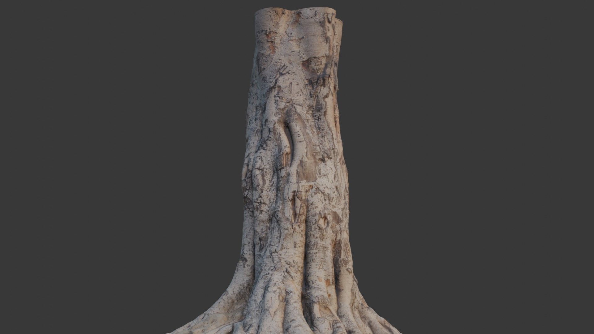 Tree Trunk with Roots Scan Low-poly 3D model_7