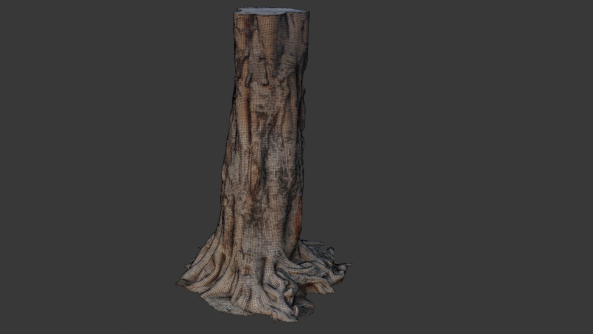 Tree Trunk with Roots Scan Low-poly 3D model_4