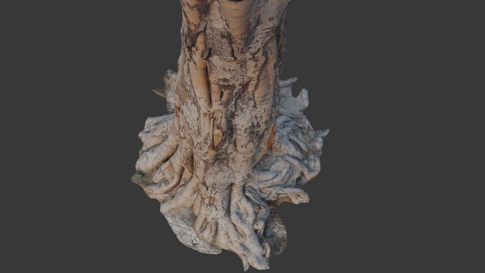 Tree Trunk with Roots Scan Low-poly 3D model_5