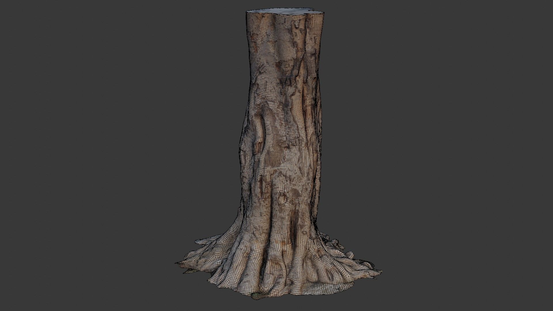 Tree Trunk with Roots Scan Low-poly 3D model_2