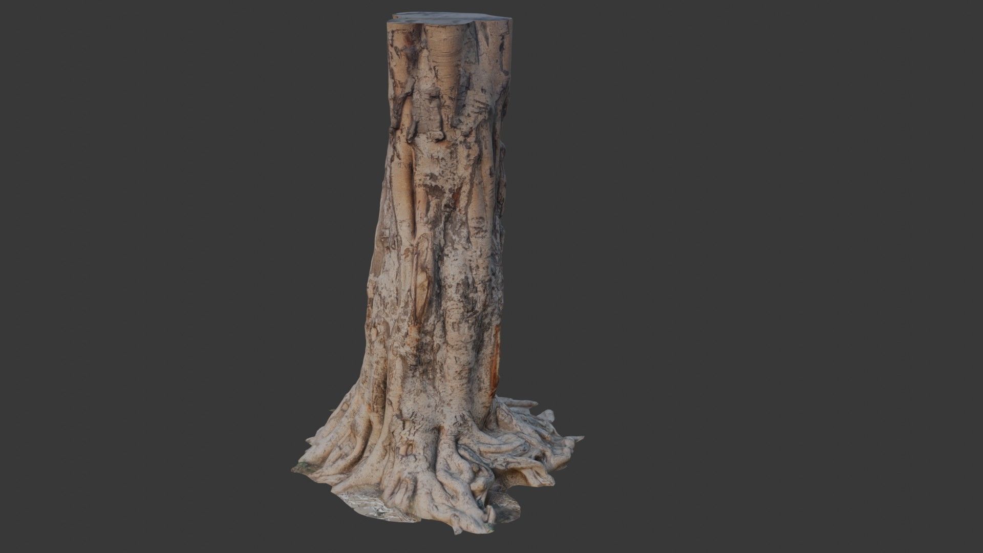 Tree Trunk with Roots Scan Low-poly 3D model_3