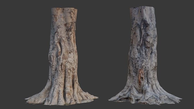  Tree Trunk with Roots Scan Low-poly 3D model