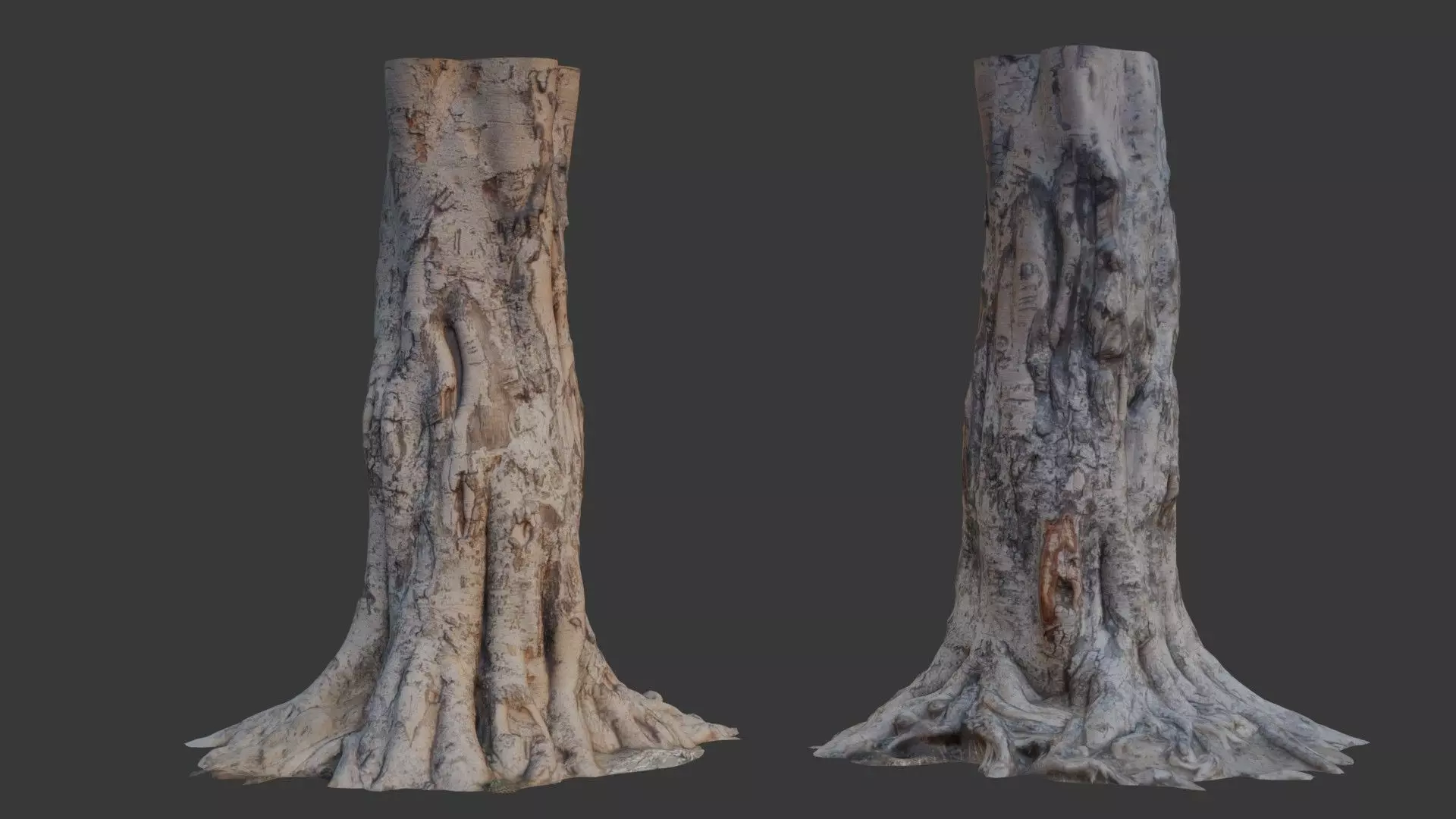 Tree Trunk with Roots Scan Low-poly 3D model_0
