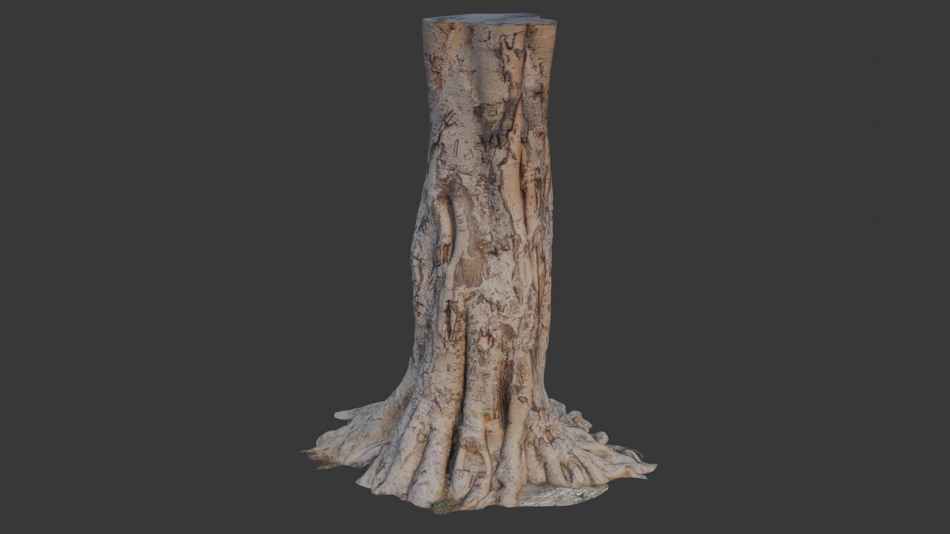 Tree Trunk with Roots Scan Low-poly 3D model_1