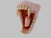 Monkey Macaque Teeth Low-poly 3D model_1