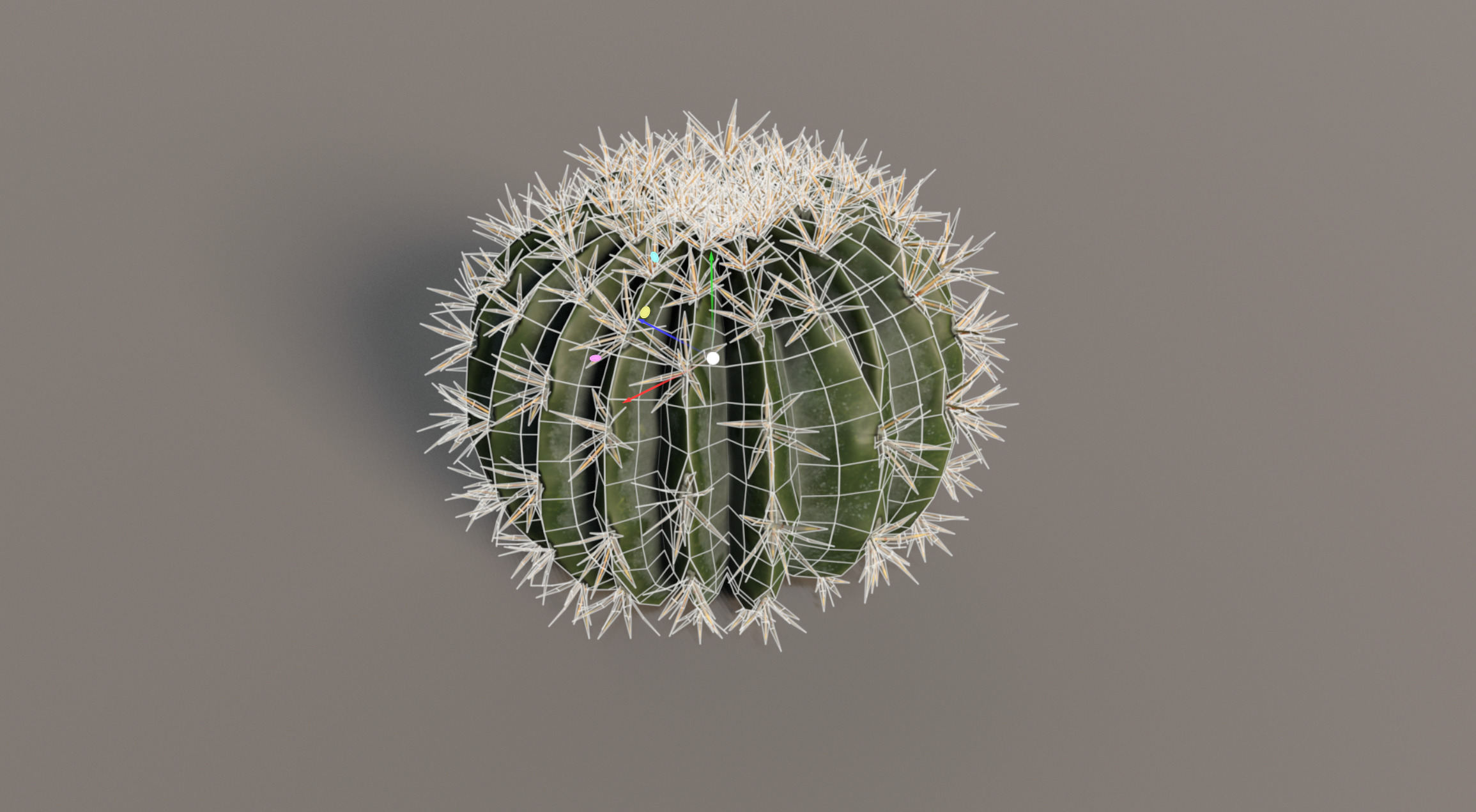 Realistic Outdoor 4 pcs Cacti Collection  Low-poly 3D model_9