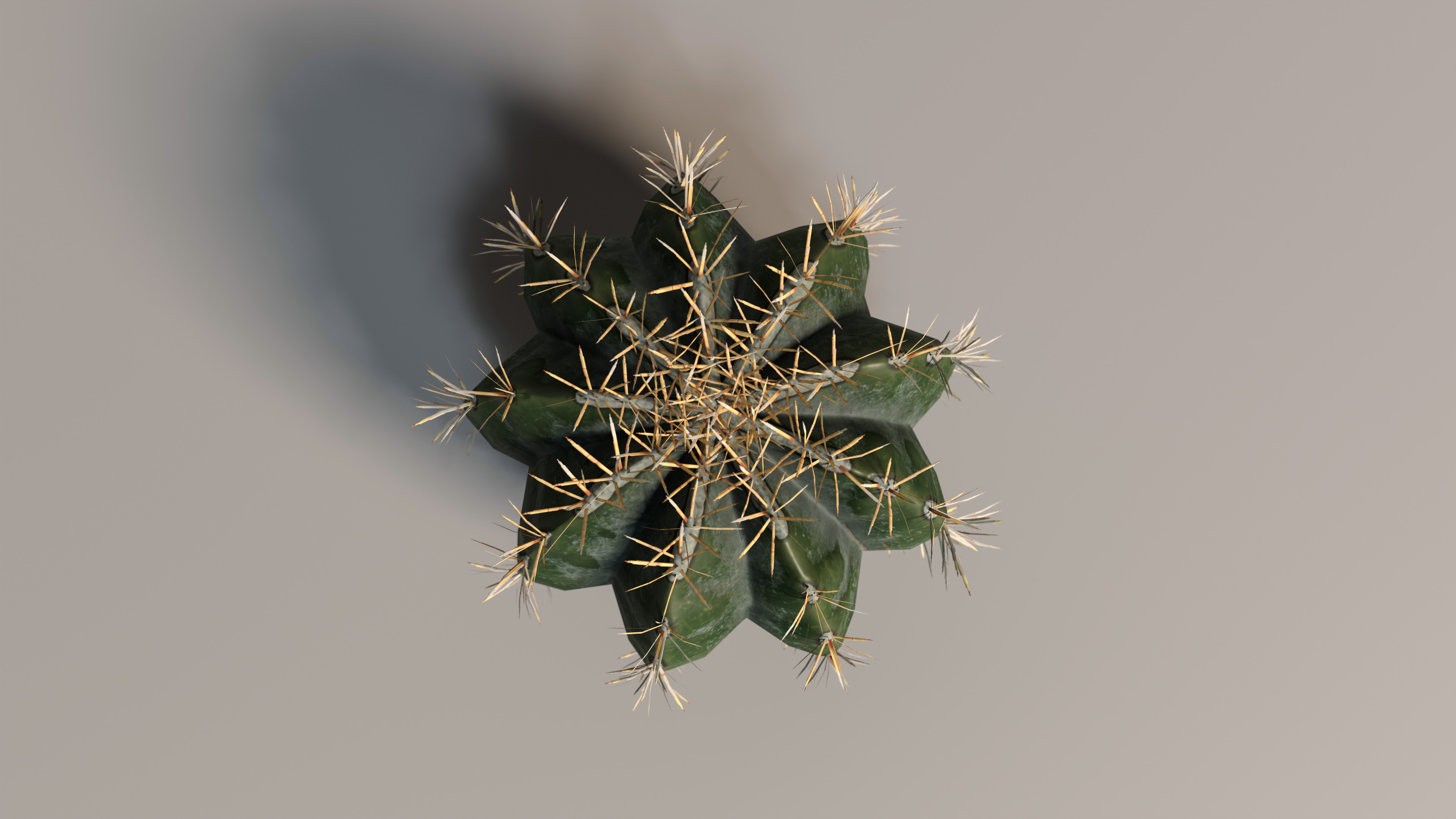 Realistic Outdoor 4 pcs Cacti Collection  Low-poly 3D model_7