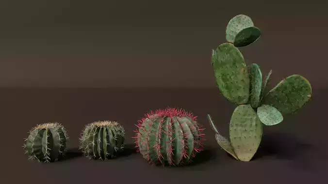 Realistic Outdoor 4 pcs Cacti Collection 