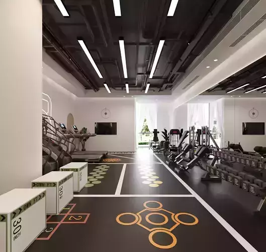 Modern Gym