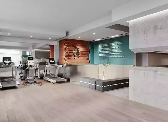 Modern Gym